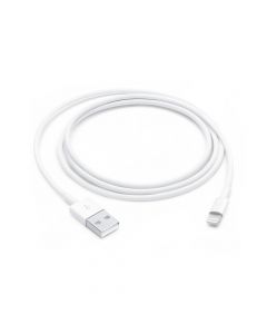 Apple USB to Lightning Cable 1m