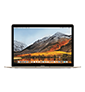 Macbook Retina 12 (A1534)