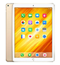 iPad Pro 12.9 1st Gen