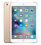iPad Mini 3